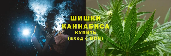 стафф Заводоуковск