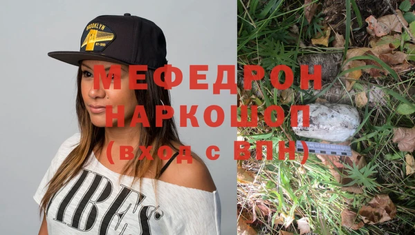 стафф Заводоуковск