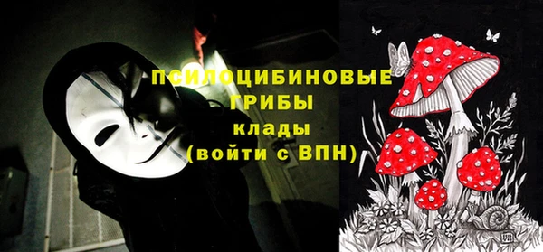 мескалин Ельня