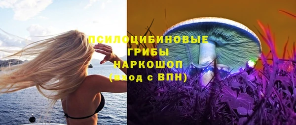 стафф Заводоуковск