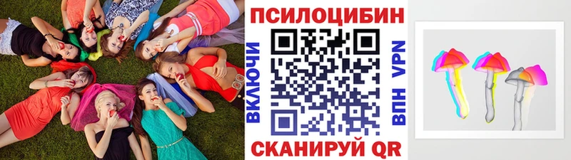 Купить закладки Стрежевой Псилоцибиновые грибы Psilocybe